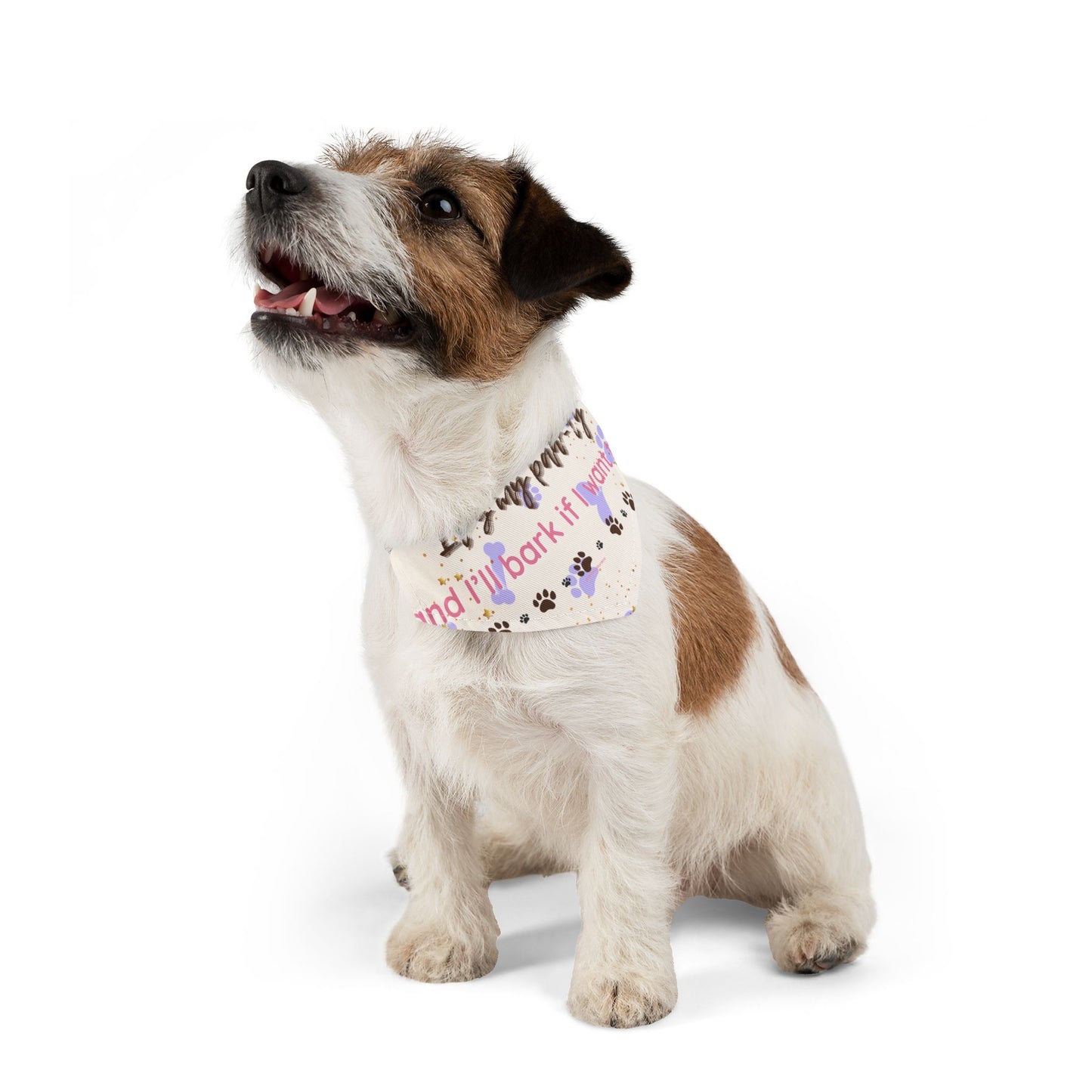 It’s My Paw-ty and I’ll Bark If I Want To – Pet Bandana