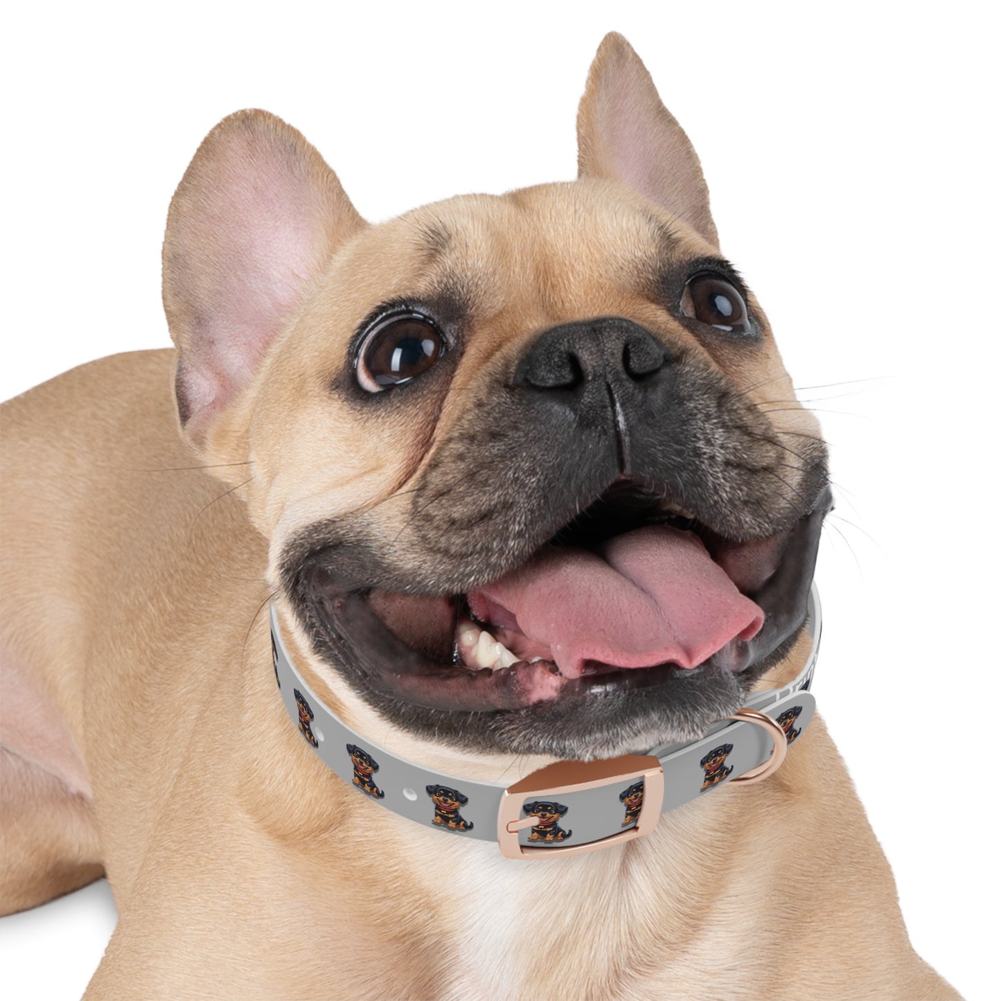 Rottweiler Pattern Dog Collar, Cute Pet Accessory, Dog Lover's Gift, Halloween Pet Costume, Stylish Dog Gear