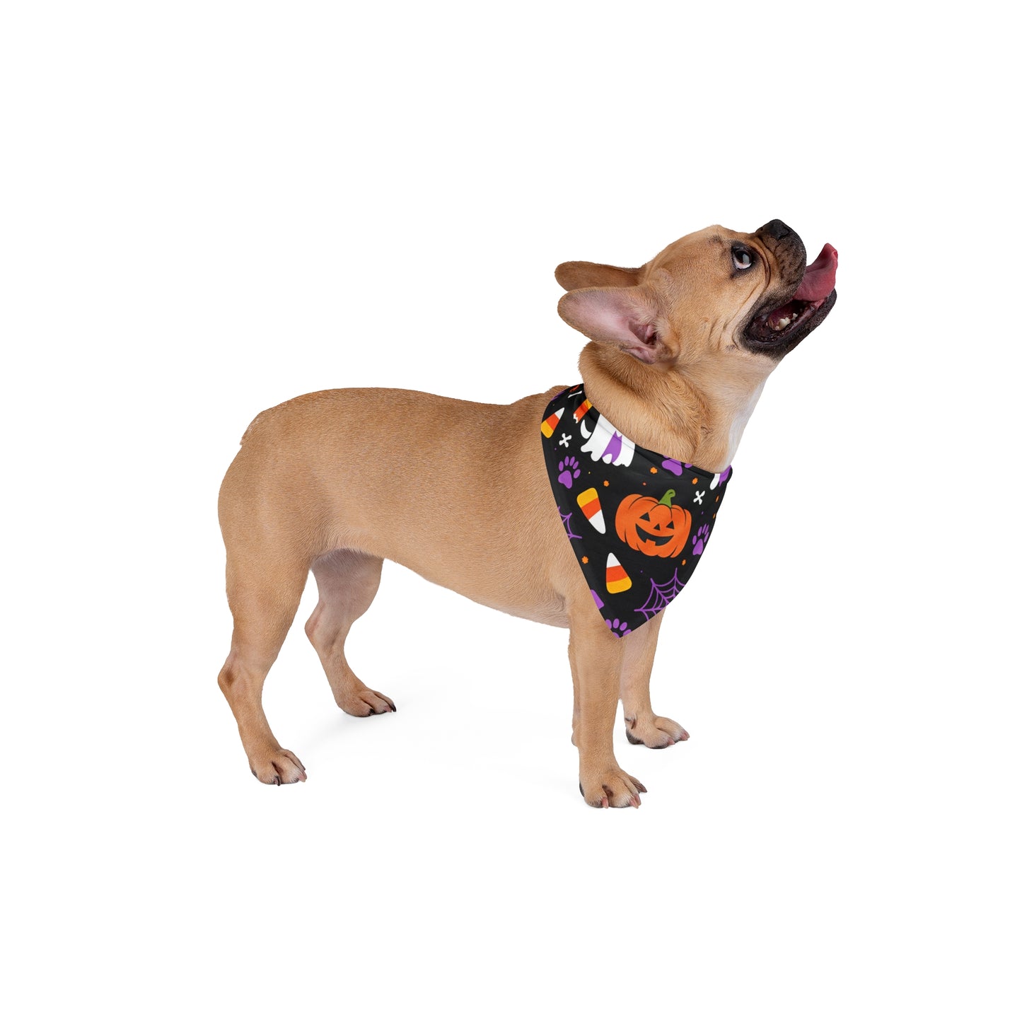 Spooky Pet Bandana for Halloween, Dog and Cat Costume Accessory, Halloween Dog Scarf, Pet Halloween Gear, Pumpkin Bandana, Cute Pet Apparel