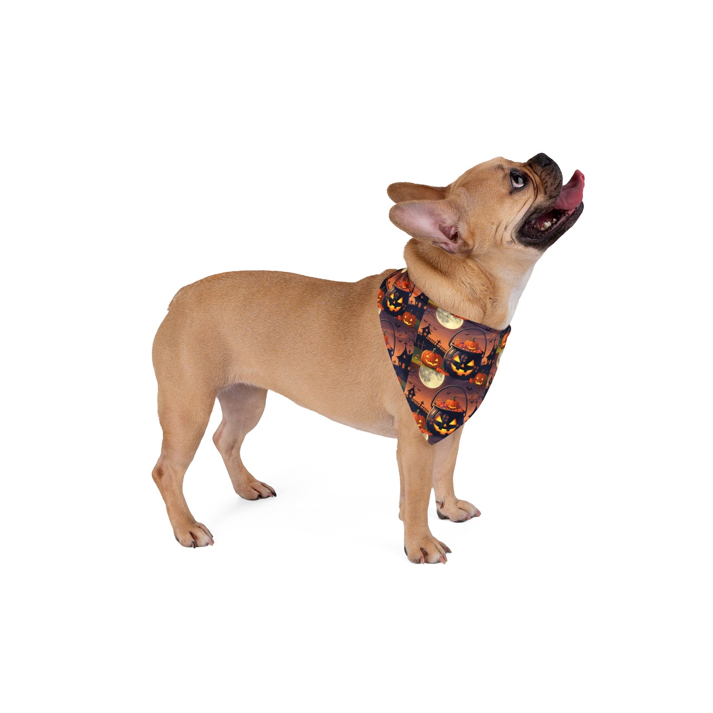 Halloween Pet Bandana, Spooky Dog Accessory, Fall Pet Costume, Halloween Dog Wear, Pet Gift for Halloween, Cat Bandana