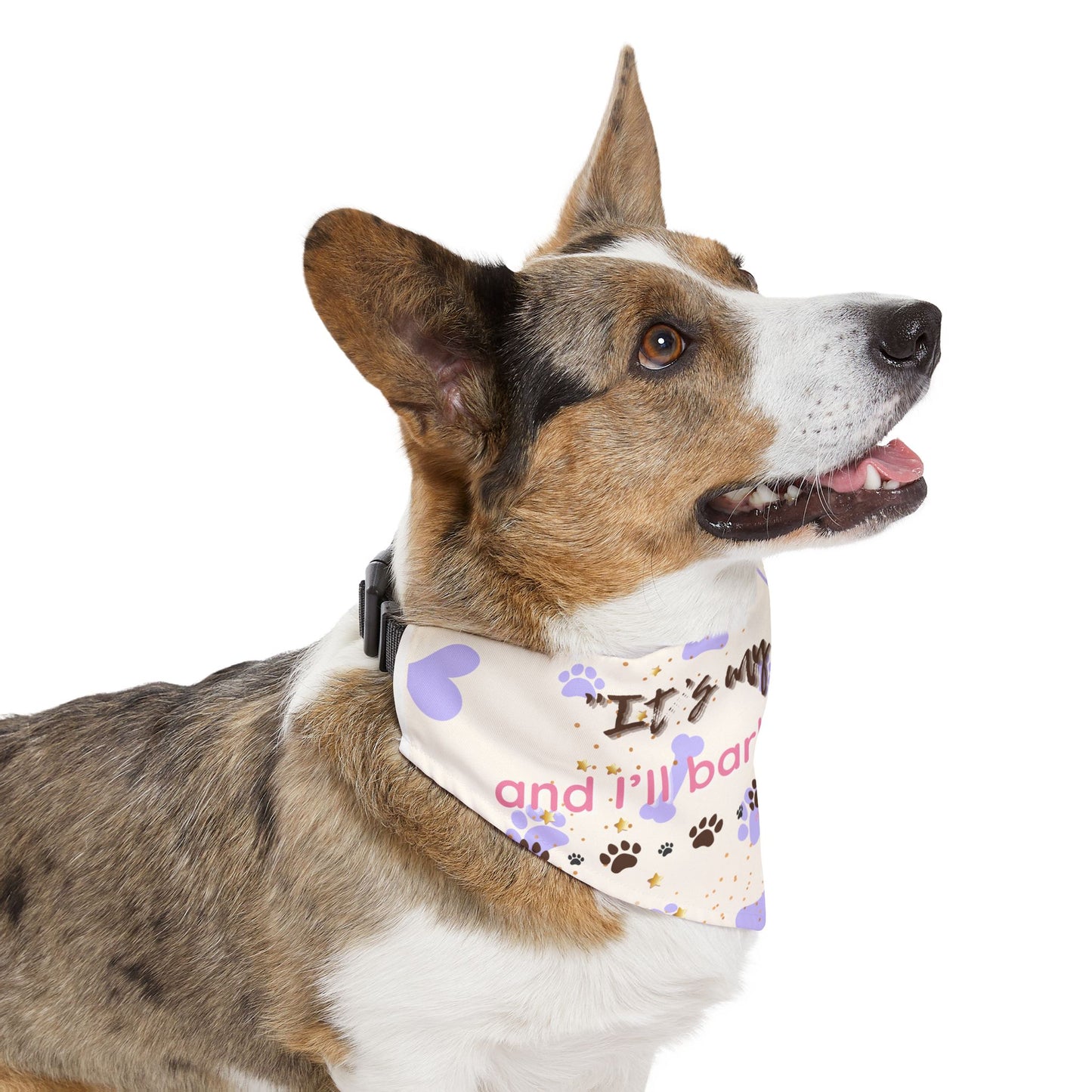 It’s My Paw-ty and I’ll Bark If I Want To – Pet Bandana