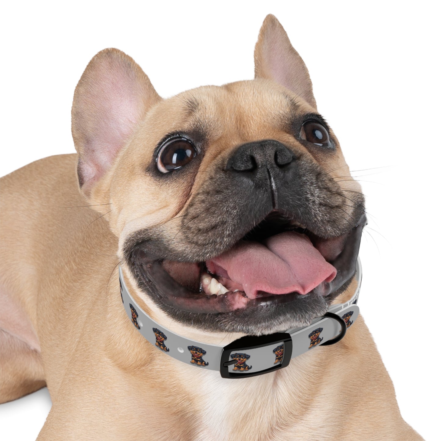 Rottweiler Pattern Dog Collar, Cute Pet Accessory, Dog Lover's Gift, Halloween Pet Costume, Stylish Dog Gear