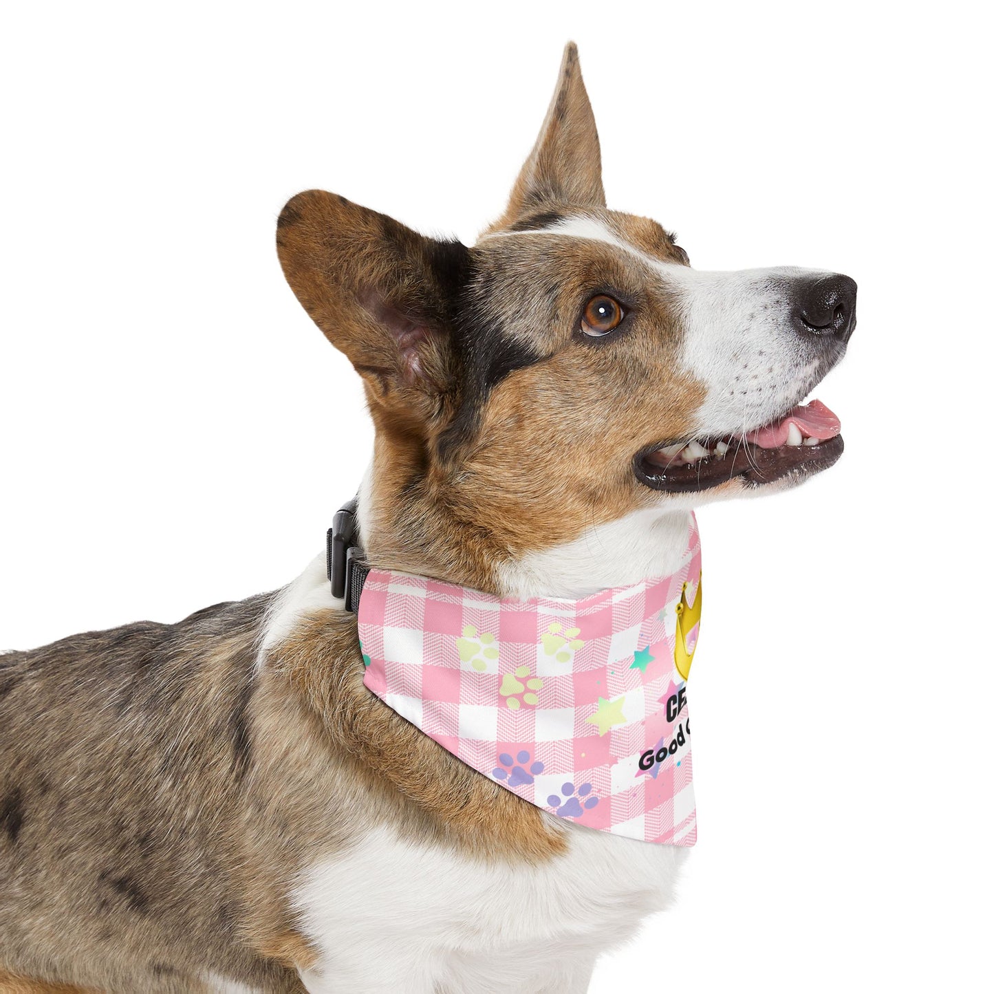 Certified Good Girl Club Dog Bandana – Cute Pet Collar Accessory, Stylish Gift for Dog Moms & Pup Fashion Lovers