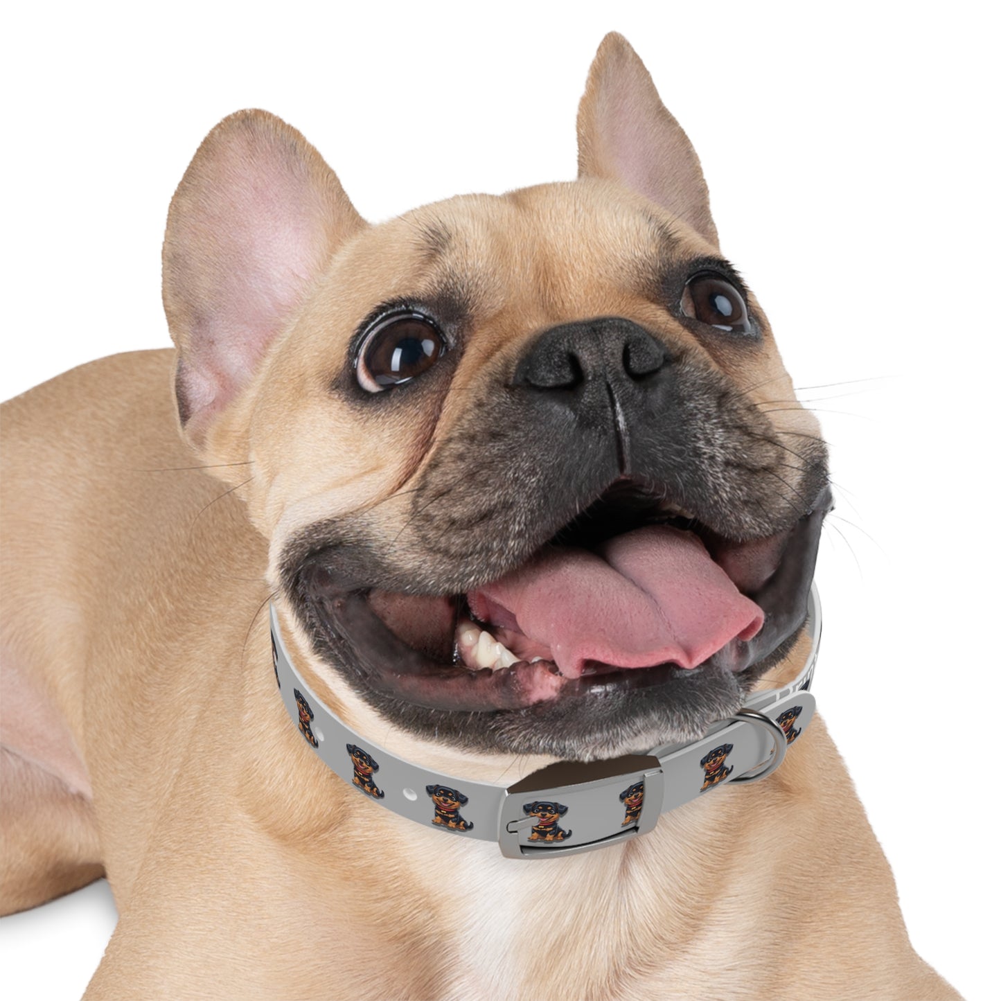 Rottweiler Pattern Dog Collar, Cute Pet Accessory, Dog Lover's Gift, Halloween Pet Costume, Stylish Dog Gear