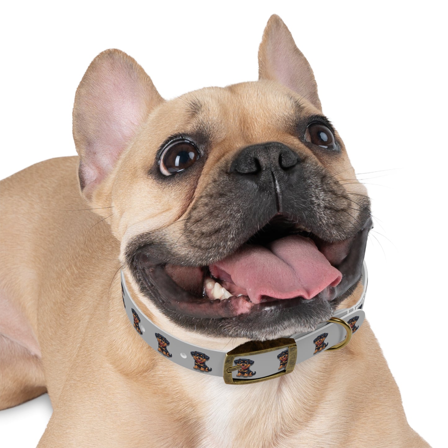 Rottweiler Pattern Dog Collar, Cute Pet Accessory, Dog Lover's Gift, Halloween Pet Costume, Stylish Dog Gear